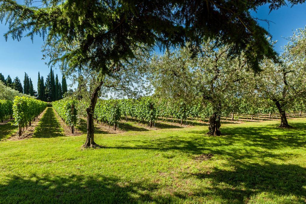 Quercia Belvedere Relais Бардолино Екстериор снимка